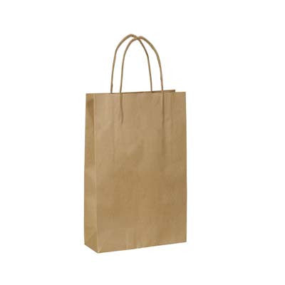 Kraft paper bags with handles (10 ct)