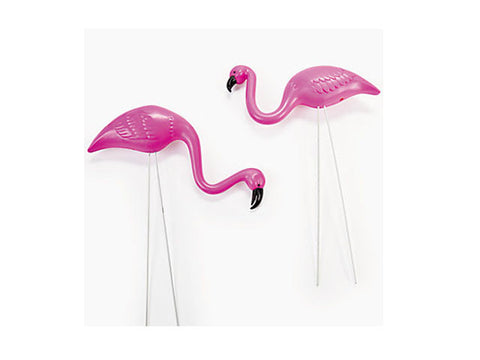 Mini Flamingo Stakes